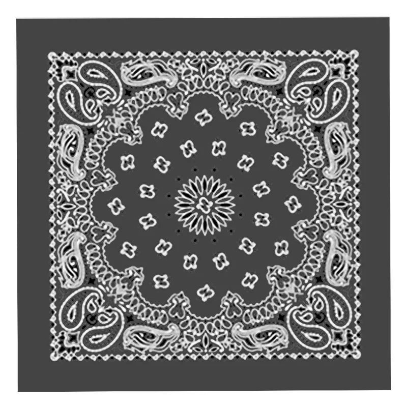 Comfortable Dresses Hot Leathers BAP1006 Classic Charcoal Paisley Bandana